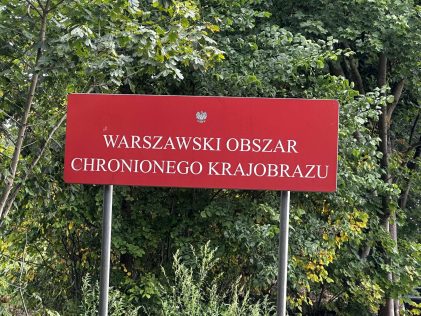 WOCK to zbyt mało…